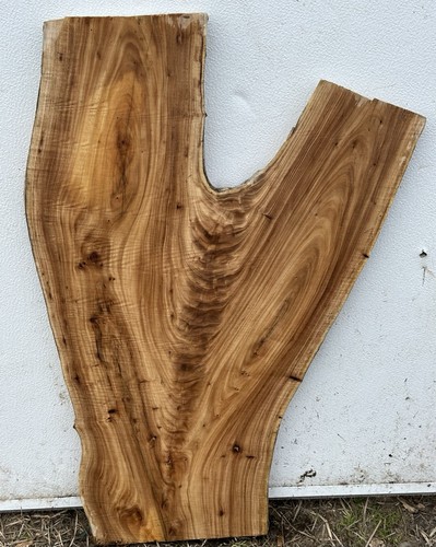 G6 Siberian Elm Burl Feather CrotchLive Edge Slab Birds 32x20x1.25 8%%mc Craft