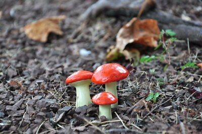 #ad G amp; F 10025 Miniature Fairy Garden Resin Mushrooms Various Colors Set Of 3 $2.88