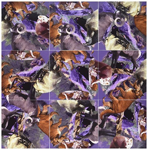 Соберите квадраты головоломки Дикая природа Скалистых гор