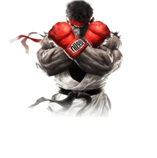 Street Fighter sticker Ryu weatherproof bumper vinyl decal