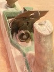 Picture 6 of 8