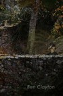Foto 3 di 4