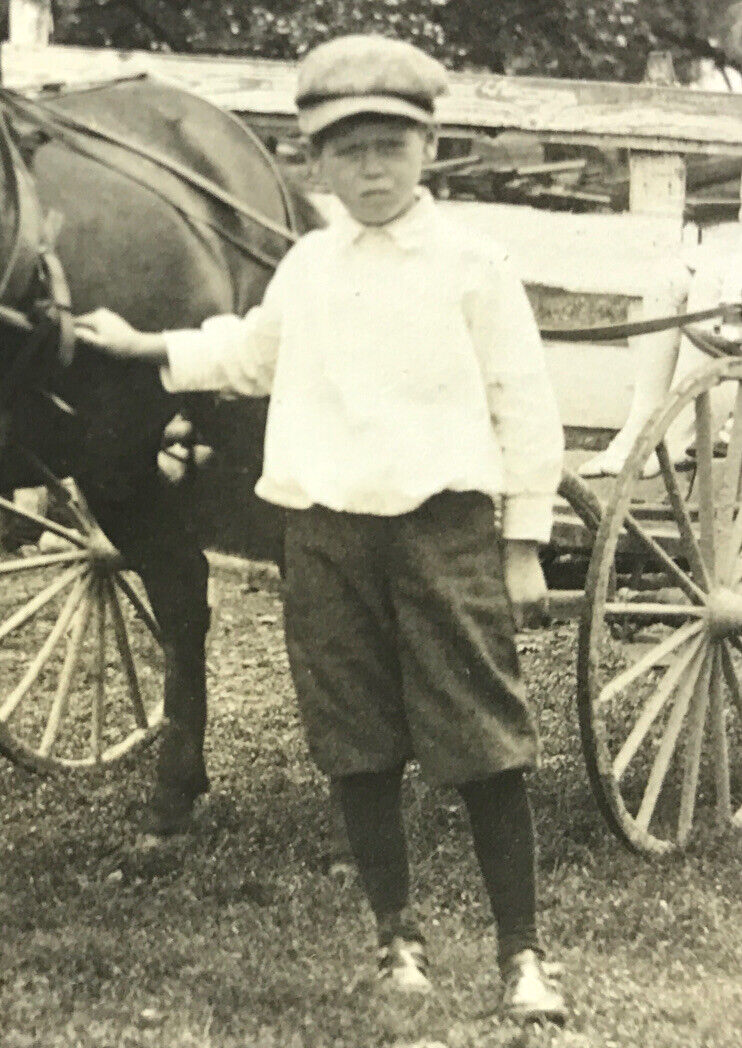 RPPC Cavallo Pony Buggy Cart Giovane Donna Bambini Ragazzi Ragazze Capelli Grandi Fiocchi Cappello #67