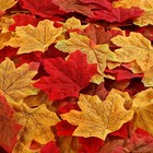 Fall Leaves,1100 Pcs Autumn Leaves Odorless, Artificial Maple Blades
