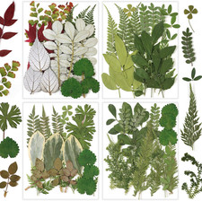 84 Pcs Dried Pressed Leaves Flowers Real Natural Dried Leaves Plant Kit Assorted