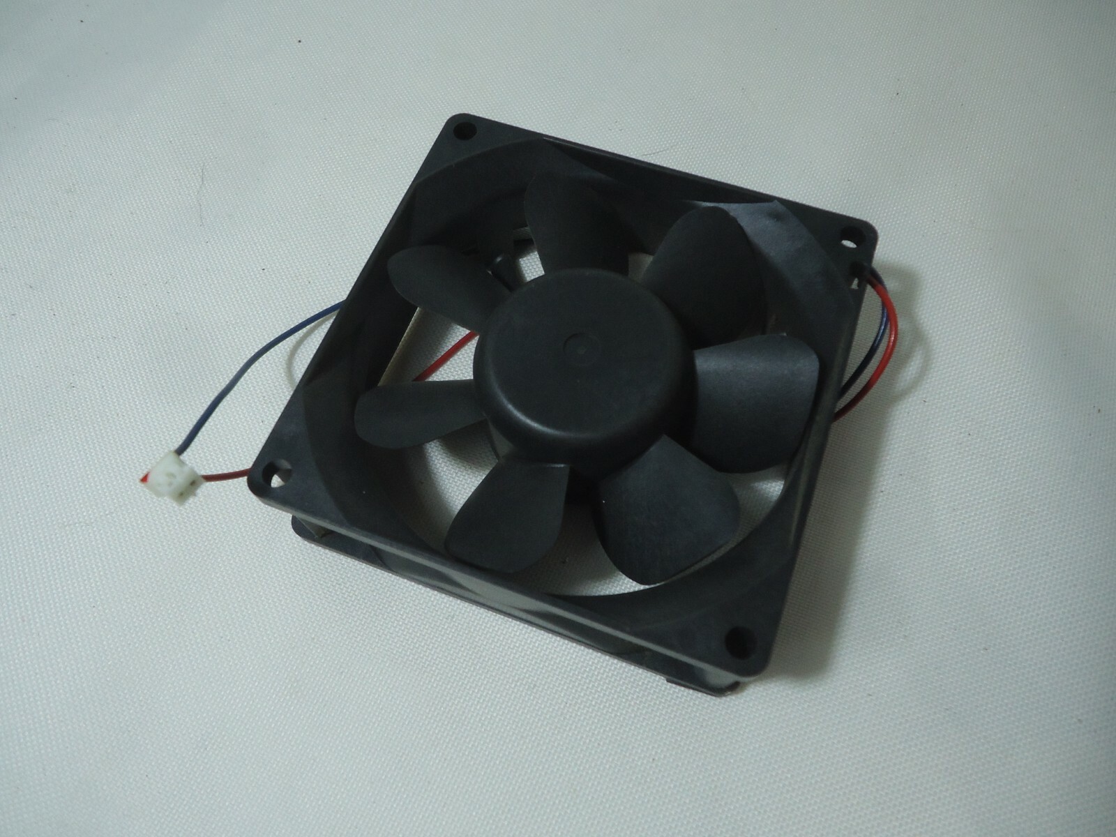 coleman 19l beverage cooler