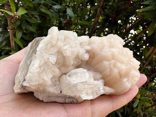 Apophyllite & Stilbite Crystal Cluster 3-8", Apophyllite Cluster with Inclusions - Picture 9 of 19