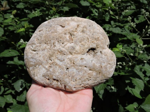 Natural FLAT AGATIZED Rhyolite Quartz Cobble Nodule (3 pounds) FRESH FIND 2025! - Picture 16 of 24