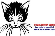 Vinyl Decal Sticker - Cat Kitten Pet Animal Car Truck Bumper Laptop JDM Fun 6"