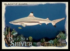 2021 Topps Allen & Ginter Blacktip Shark #DSS-8