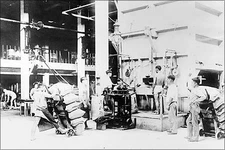 Poster, Many Sizes; Filling Sacks Of Raw Sugar At Plantation Mill, Hawaii 1910-1