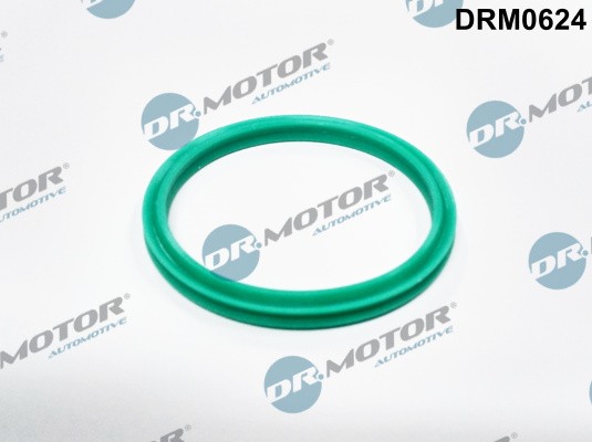 Dr.Motor Automotive DRM0624 Dichtring, Ladeluftschlauch For Dacia Renault-image