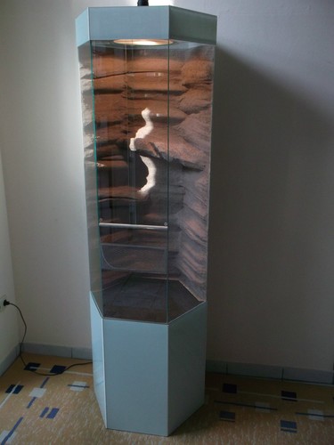 6Eck Hochkant Glas Terrarium 60x130cm Chamäleons Leguane Schlange - Bild 2 von 7