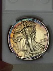 2020 1 Oz American Silver Eagle Natural Toner Toned Uncirculated Mint