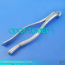 ODM PEDO Dental Surgery Tooth Extracting Forceps# 53R