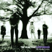 Compendium - The Fontana Trinity von The Lilac Time | CD | Zustand gut