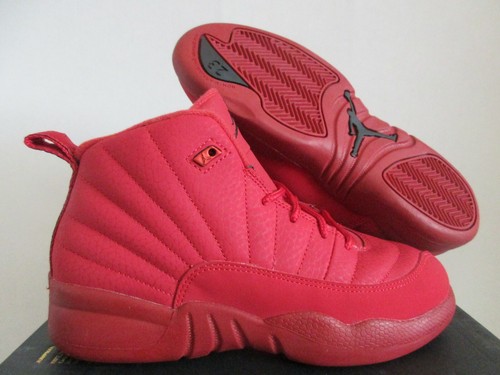 jordans 12 ebay