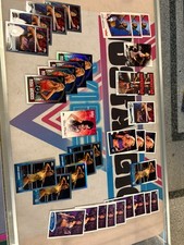 Rosa Mendes WWE WWF DIVA Lot (34) Including Insert, Topps Chrome NICE HOT