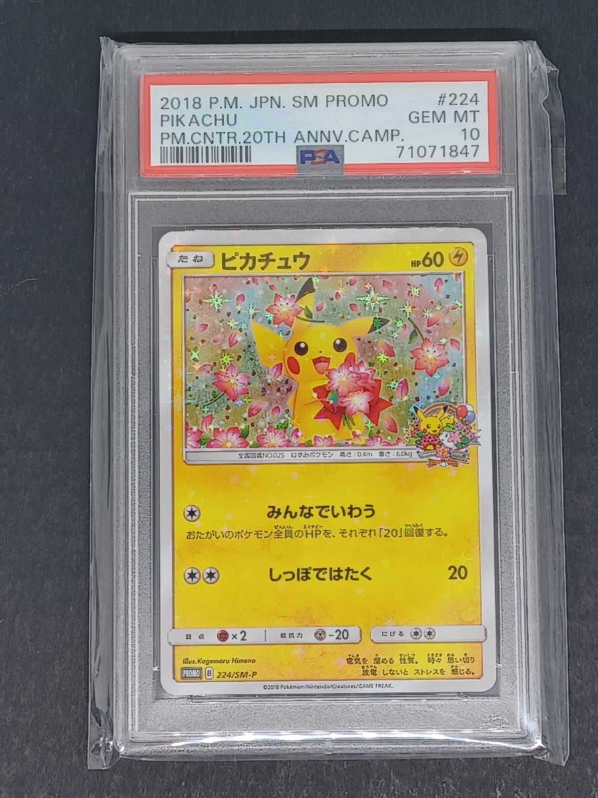 Pikachu 2018 Japanese SM-P Promo #224/SM-P 20th Anniversary