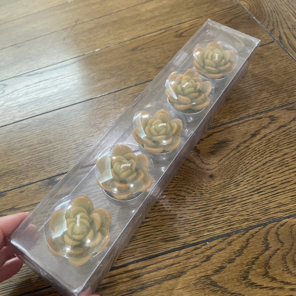 Pottery Barn суккулент Echeveria свечи Tealights набор из 5 новый в коробке - Изображение 4 из 4