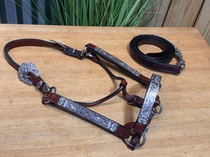 DALE CHAVEZ Silver Western Show Horse Halter w Lead ~ Full Size