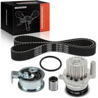 Frankberg Zahnriemensatz + Wasserpumpe Passend FüR Audi A3 A4 A6 Ford Galaxy
