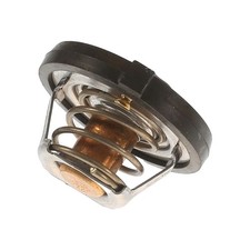 Thermostat Chrysler VISION