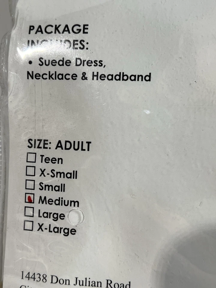 Adult Indian Princess Lady Costume Medium Suede Native American Halloween Medium - Image 3 of 4