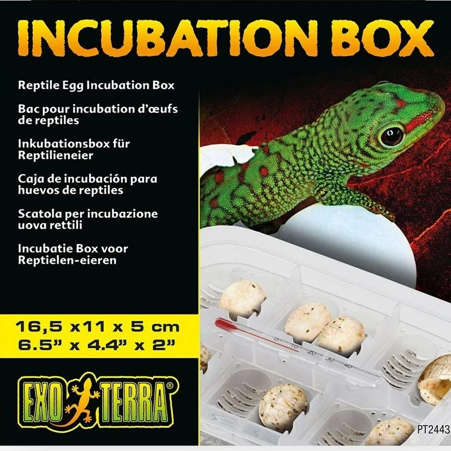 Exo terra cheap egg incubator