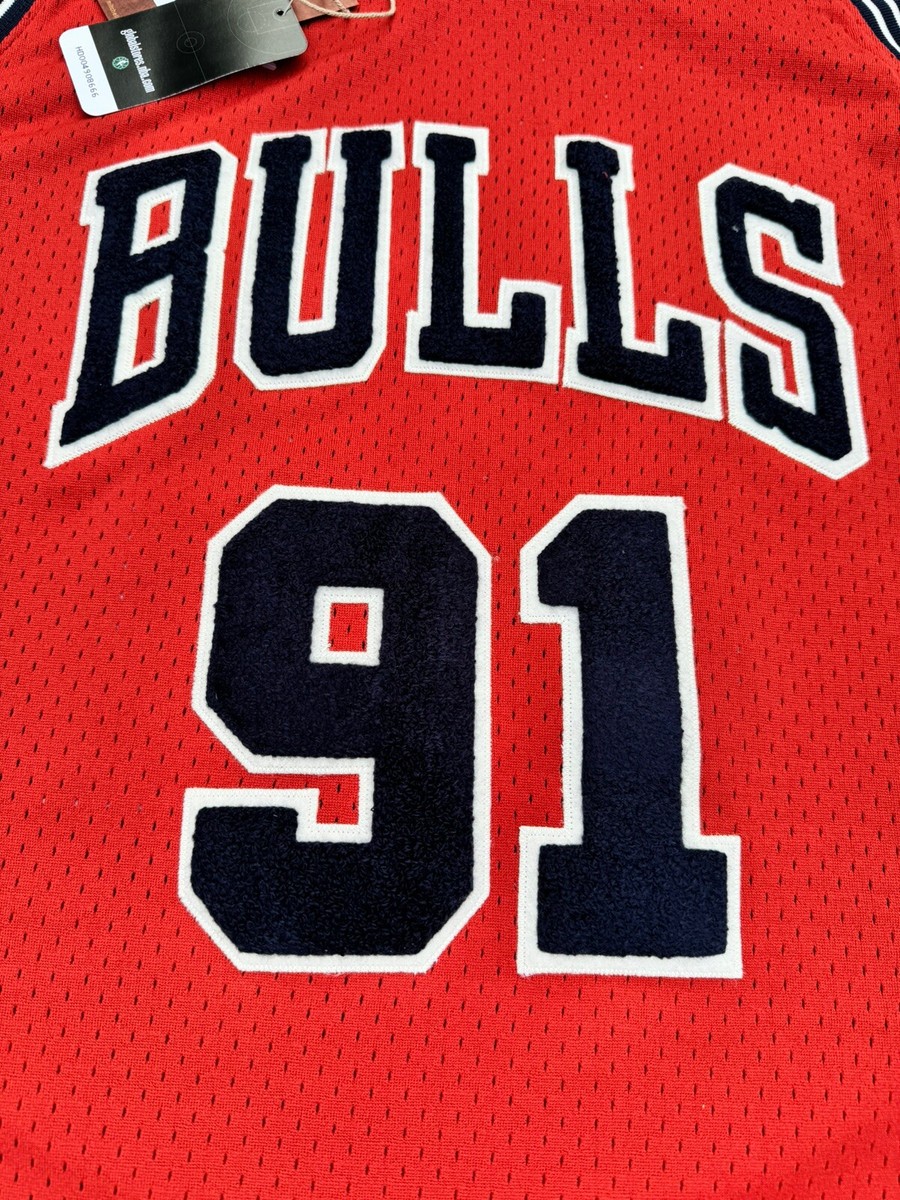 Dennis Rodman Chicago Bulls Mitchell & Ness Off-Court