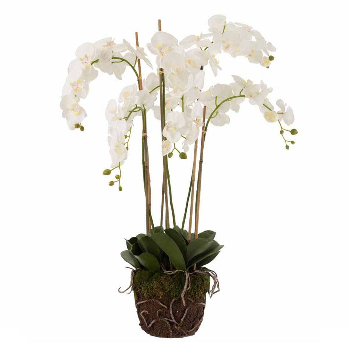 Orchidée artificielle blanche en terre de 98cm pour décoration