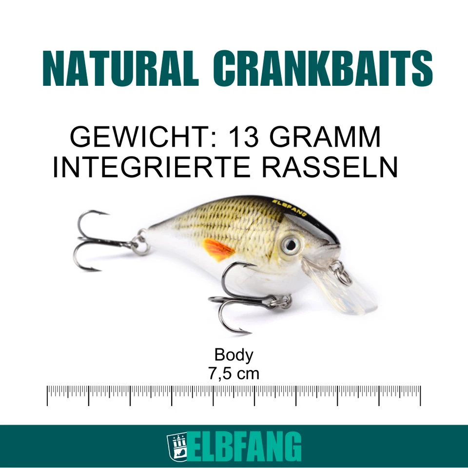 ✅ELBFANG Crankbait Wobbler Kunstköder Set zum Angeln für Hecht Barsch Forelle - Bild 3 von 4