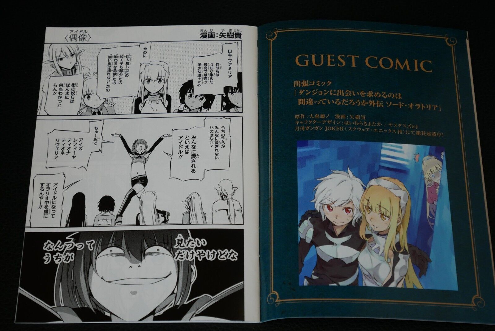 DanMachi. Sword oratoria: 9788834900086 - AbeBooks