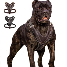 Genuine Leather Large Dog Harness No Pull Control Training Pet Vest Heavy Duty