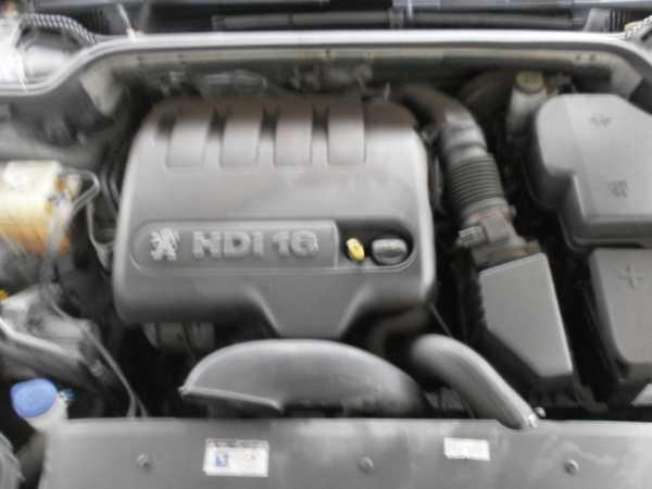 Picture 11 of 12