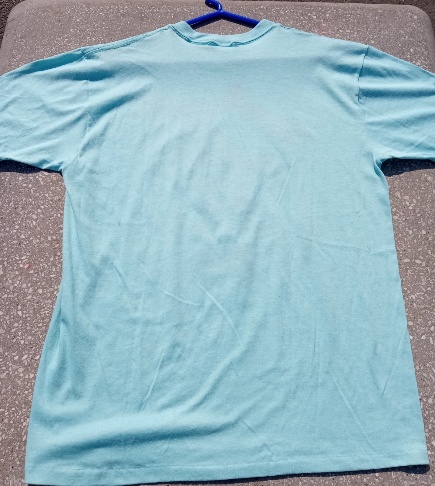 Vintage 1988 Tasmanian devil t-shirts men's Large - Gem