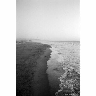 CineStill bwXX Now Available in Limited Quantities
