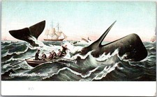 UNITED STATES - sperm whaling the capture