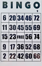Gigantic Laminated Bingo Cards