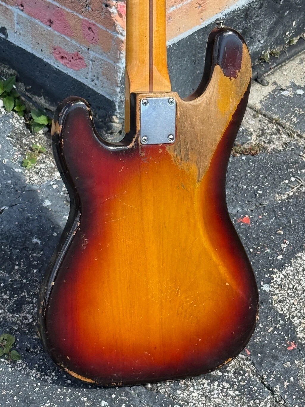 Picture 5 of 24
