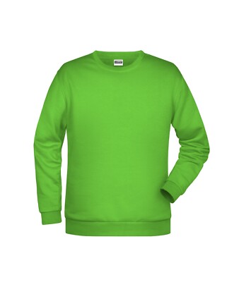 Daiber Basic Sweatshirt Pullover JN794 S-5XL 23 Farben Promo Sweat Men