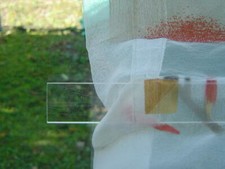 PLEXIGLAS® Acrylglas Streifen Beschwerung Raffrollo 50cm -150cm, 40mm x 3mm