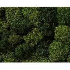 Noch 08610 Dekormoos hell/dunkelgrün, 35 g Alle + Neu