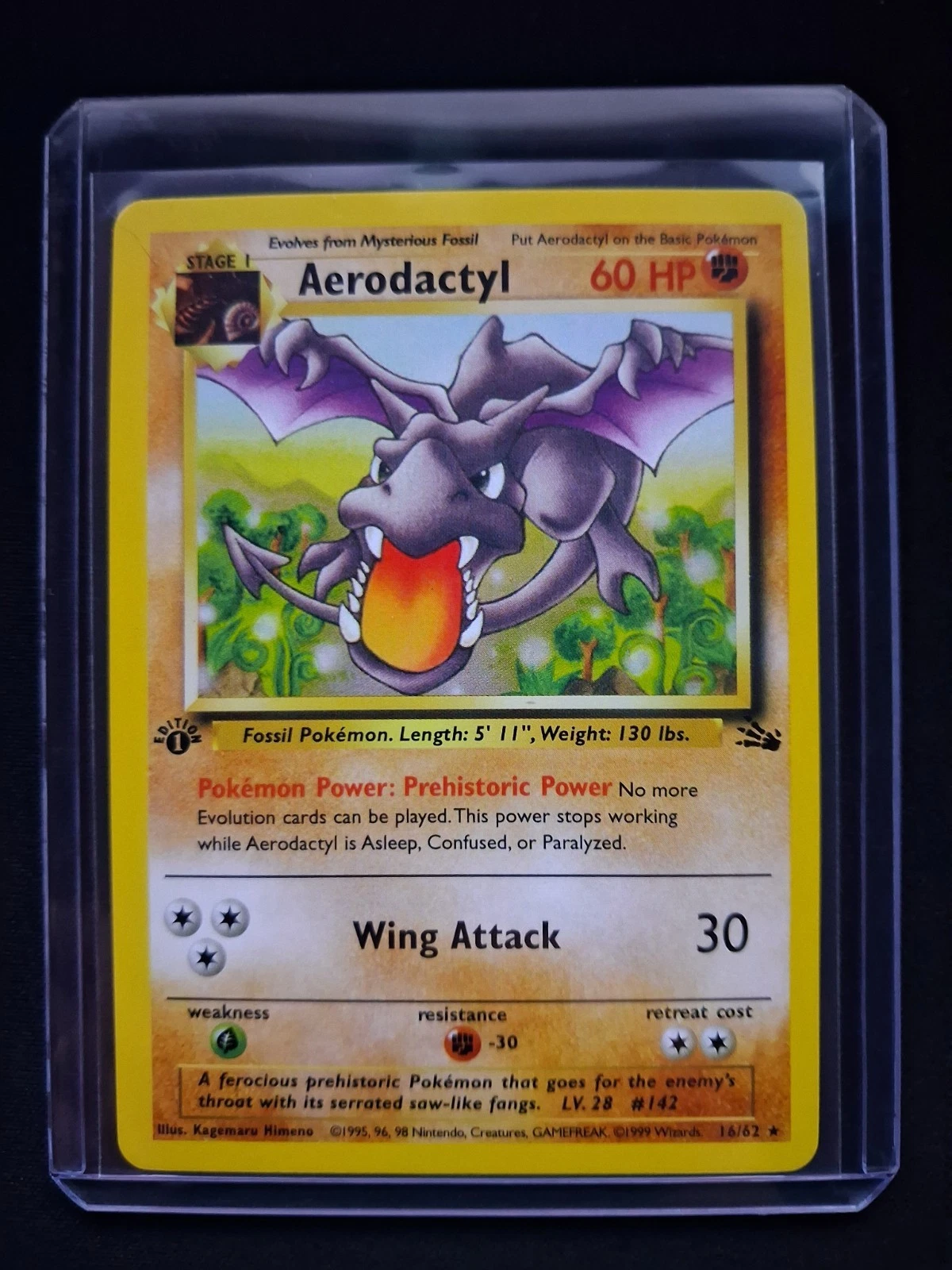 fossil 1st edition aerodactyl