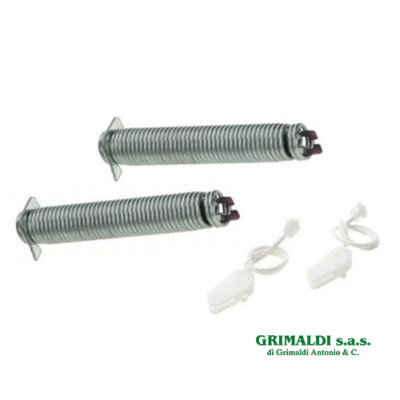 Kit Molle Per Cerniera Porta Lavastoviglie Bosch Siemens - Ricambio Originale 00754869 / 754869