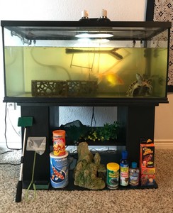zoomed 40 gallon turtle kit