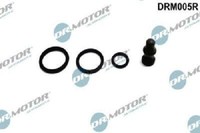 Original Dr.Motor Automotive Reparatursatz Pumpe-DüSe-Einheit DRM005R FüR Audi