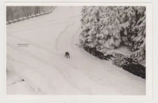Solitary Struggle Lone Figure Carves Path Through the Endless Snow Abstract Phot