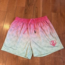 Mens Baseball Lifestyle 101 Gradient Pink Green Cotton Candy Mesh Shorts 5" sz M