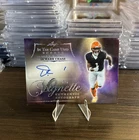 2025 Leaf In Game Used Jamarr Chase Vignette Auto SSP /8 Bengals 🔥